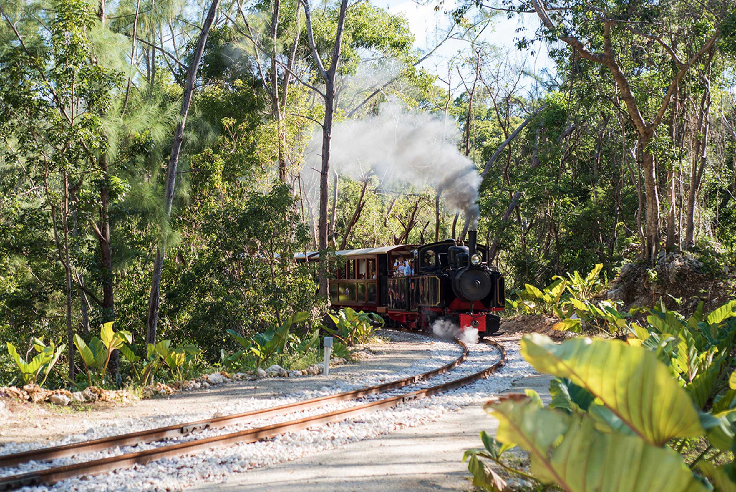 St Nicholas Abbey Train Ride